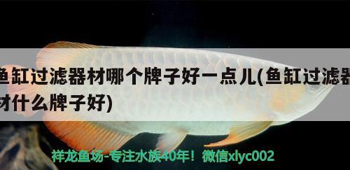 魚缸過濾器材哪個(gè)牌子好一點(diǎn)兒(魚缸過濾器材什么牌子好)