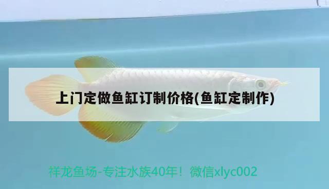 上門(mén)定做魚(yú)缸訂制價(jià)格(魚(yú)缸定制作)