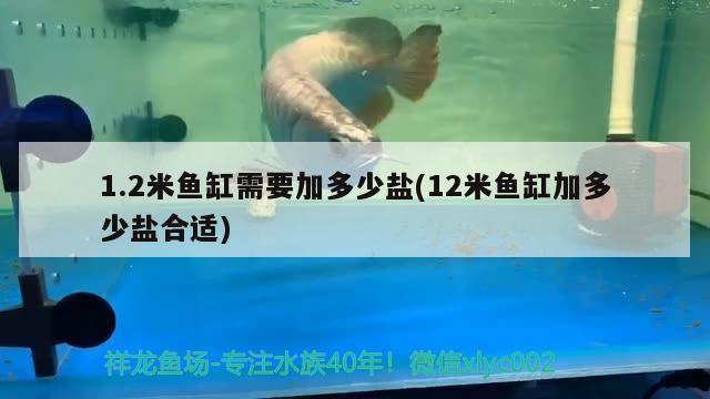 1.2米魚缸需要加多少鹽(12米魚缸加多少鹽合適) 觀賞魚批發(fā)