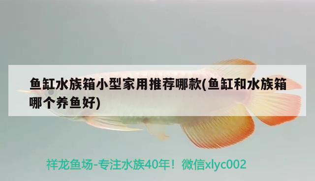 魚缸水族箱小型家用推薦哪款(魚缸和水族箱哪個養(yǎng)魚好) 魚缸/水族箱