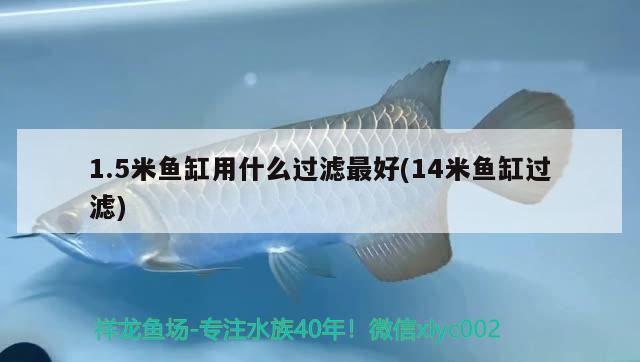 1.5米魚缸用什么過濾最好(14米魚缸過濾)