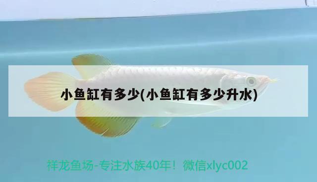 小魚缸有多少(小魚缸有多少升水) 過背金龍魚