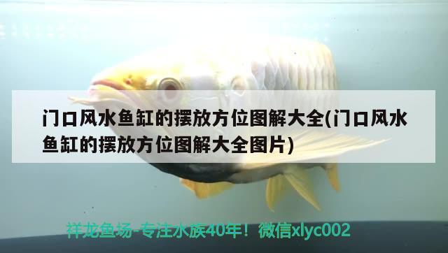 門口風(fēng)水魚缸的擺放方位圖解大全(門口風(fēng)水魚缸的擺放方位圖解大全圖片)