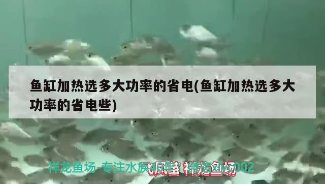 魚缸加熱選多大功率的省電(魚缸加熱選多大功率的省電些) 黃金斑馬魚