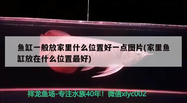 魚缸一般放家里什么位置好一點圖片(家里魚缸放在什么位置最好) 金頭過背金龍魚