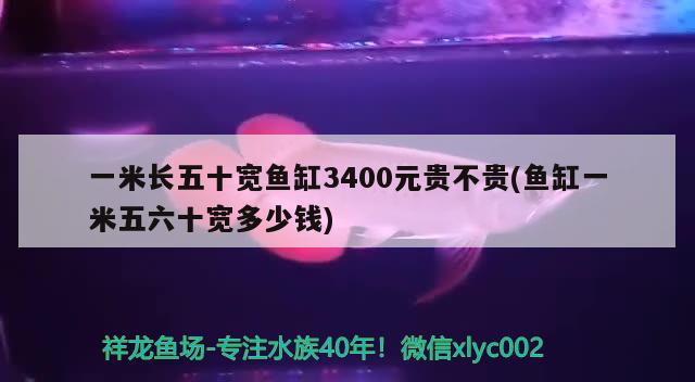 一米長五十寬魚缸3400元貴不貴(魚缸一米五六十寬多少錢) 廣州祥龍國際水族貿(mào)易 第1張