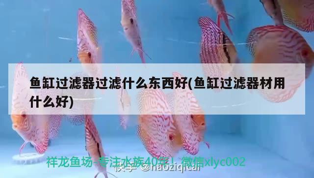 魚缸過(guò)濾器過(guò)濾什么東西好(魚缸過(guò)濾器材用什么好)