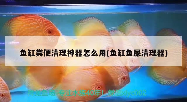 魚(yú)缸糞便清理神器怎么用(魚(yú)缸魚(yú)屎清理器)