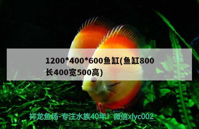 1200*400*600魚缸(魚缸800長400寬500高) 殺菌消毒設(shè)備