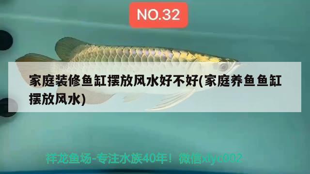 家庭裝修魚缸擺放風(fēng)水好不好(家庭養(yǎng)魚魚缸擺放風(fēng)水) 魚缸風(fēng)水