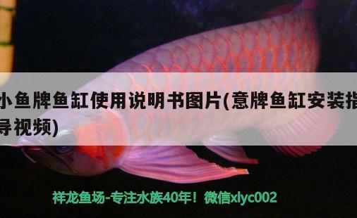 小魚牌魚缸使用說明書圖片(意牌魚缸安裝指導(dǎo)視頻) 過背金龍魚