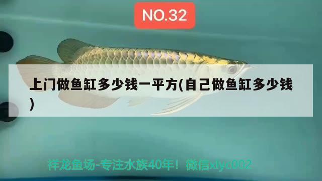 上門做魚缸多少錢一平方(自己做魚缸多少錢) 檸檬鯽