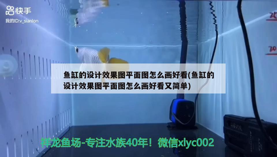 魚缸的設計效果圖平面圖怎么畫好看(魚缸的設計效果圖平面圖怎么畫好看又簡單)