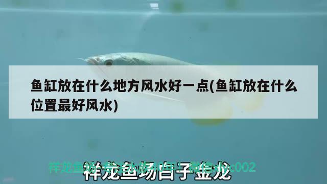 魚(yú)缸放在什么地方風(fēng)水好一點(diǎn)(魚(yú)缸放在什么位置最好風(fēng)水) 魚(yú)缸風(fēng)水