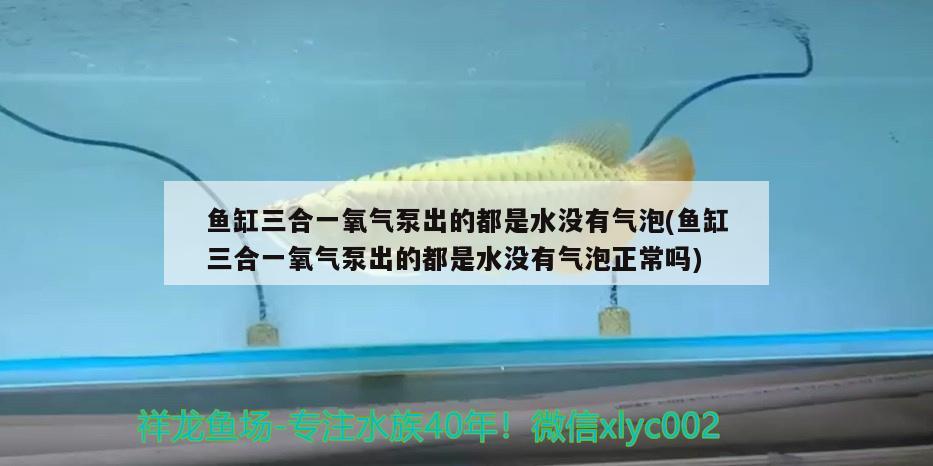 魚缸三合一氧氣泵出的都是水沒有氣泡(魚缸三合一氧氣泵出的都是水沒有氣泡正常嗎)