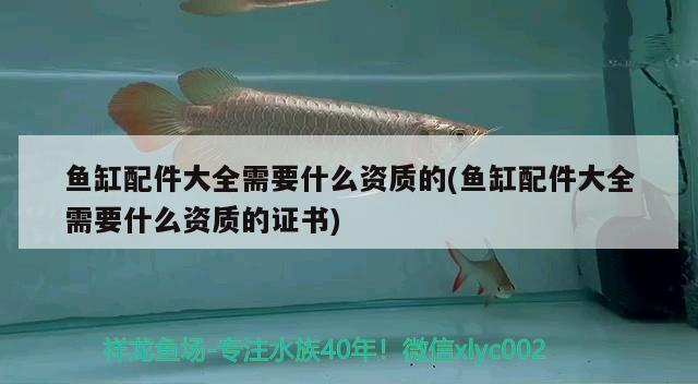 魚缸配件大全需要什么資質(zhì)的(魚缸配件大全需要什么資質(zhì)的證書) 水溫計