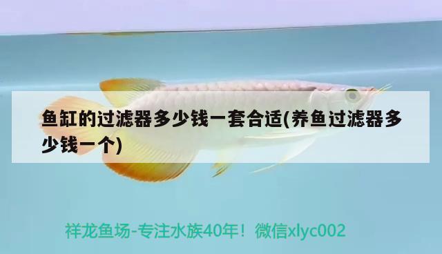 魚缸的過濾器多少錢一套合適(養(yǎng)魚過濾器多少錢一個) 祥龍傳奇品牌魚缸