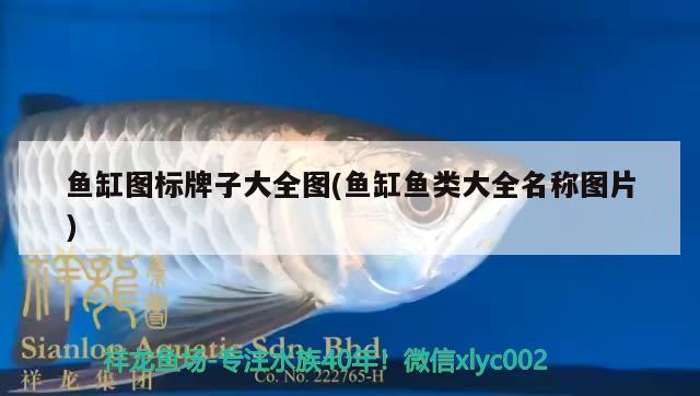 魚缸圖標(biāo)牌子大全圖(魚缸魚類大全名稱圖片) PH調(diào)節(jié)劑