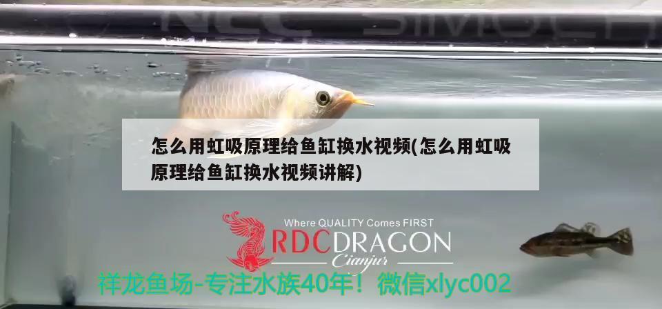 怎么用虹吸原理給魚缸換水視頻(怎么用虹吸原理給魚缸換水視頻講解)