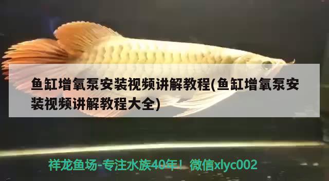 魚缸增氧泵安裝視頻講解教程(魚缸增氧泵安裝視頻講解教程大全)