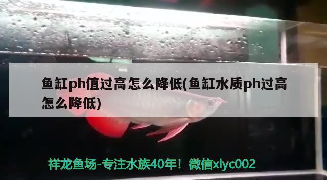 魚缸ph值過高怎么降低(魚缸水質(zhì)ph過高怎么降低)