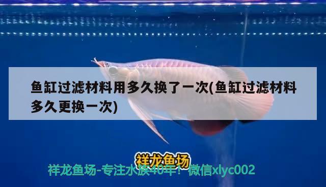 魚缸過濾材料用多久換了一次(魚缸過濾材料多久更換一次) 除藻劑