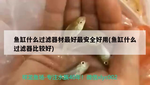 魚缸什么過濾器材最好最安全好用(魚缸什么過濾器比較好)