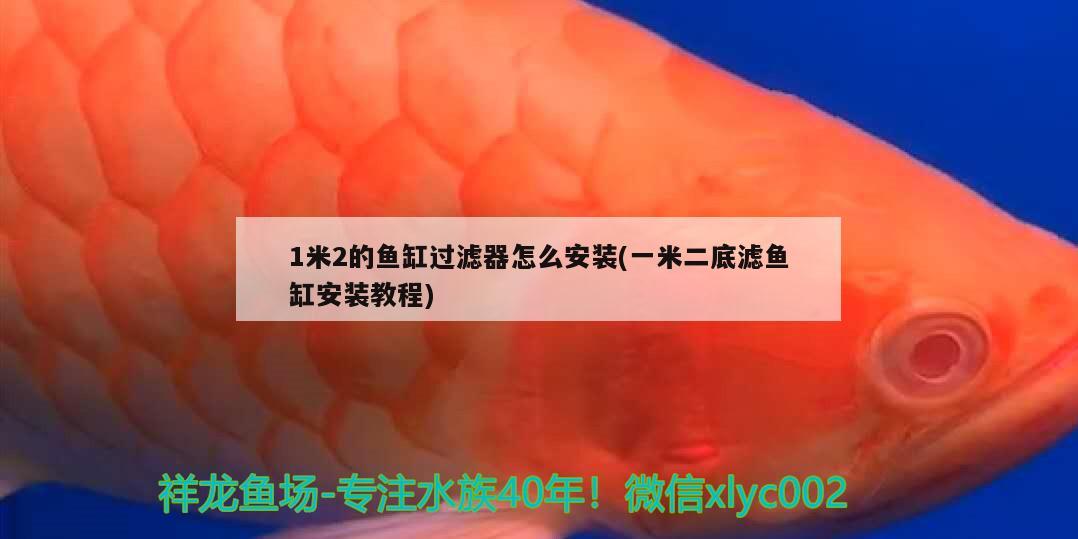 1米2的魚缸過濾器怎么安裝(一米二底濾魚缸安裝教程)