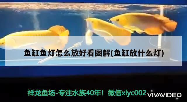 魚缸魚燈怎么放好看圖解(魚缸放什么燈)