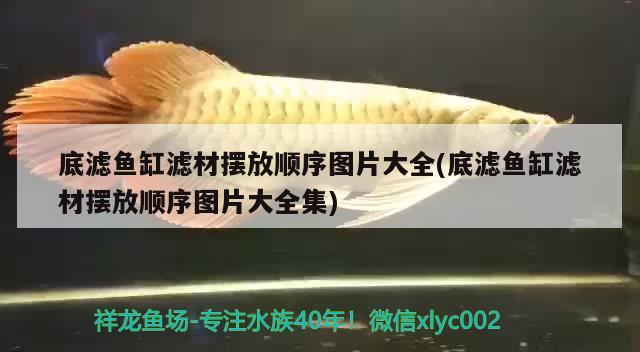 底濾魚(yú)缸濾材擺放順序圖片大全(底濾魚(yú)缸濾材擺放順序圖片大全集) 鸚鵡魚(yú)