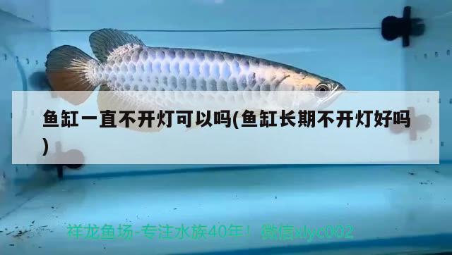 魚缸一直不開燈可以嗎(魚缸長期不開燈好嗎) 祥龍傳奇品牌魚缸