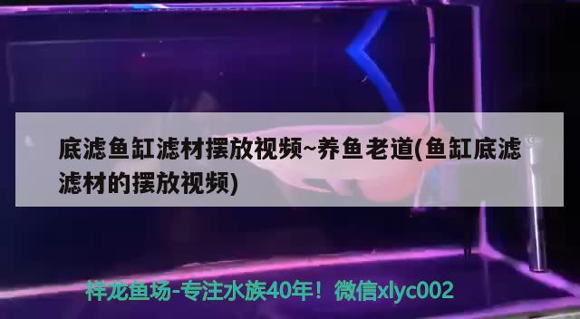 底濾魚缸濾材擺放視頻~養(yǎng)魚老道(魚缸底濾濾材的擺放視頻) 飛鳳魚