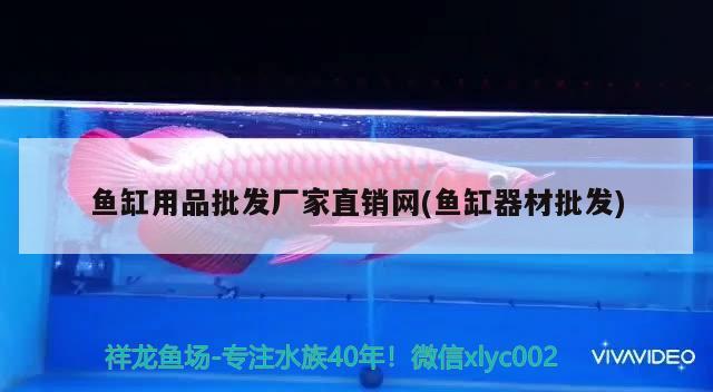 魚缸用品批發(fā)廠家直銷網(wǎng)(魚缸器材批發(fā)) 元寶鳳凰魚