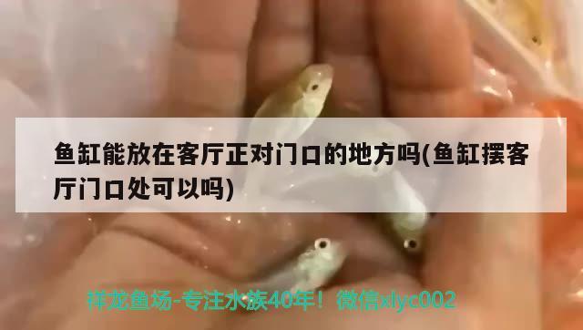 魚缸能放在客廳正對門口的地方嗎(魚缸擺客廳門口處可以嗎) 黑云魚