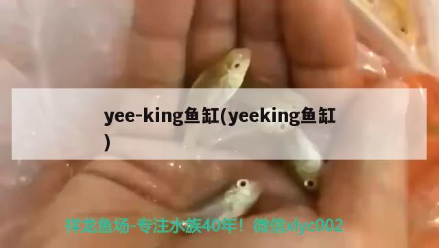 yee-king魚缸(yeeking魚缸)