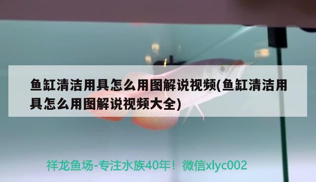 魚缸清潔用具怎么用圖解說視頻(魚缸清潔用具怎么用圖解說視頻大全) 白寫錦鯉魚