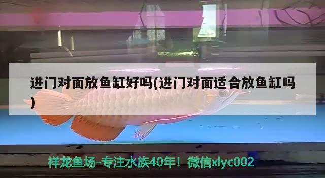 進門對面放魚缸好嗎(進門對面適合放魚缸嗎)