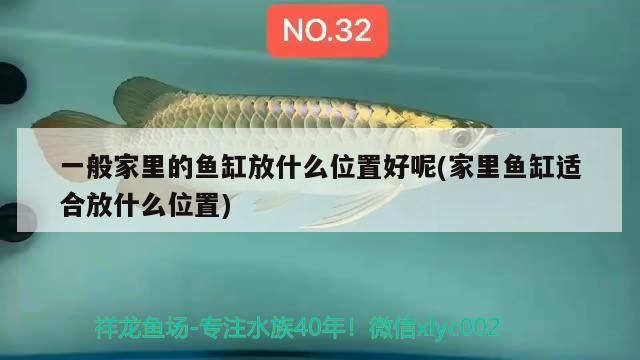 一般家里的魚缸放什么位置好呢(家里魚缸適合放什么位置) 觀賞魚市場（混養(yǎng)魚） 第2張