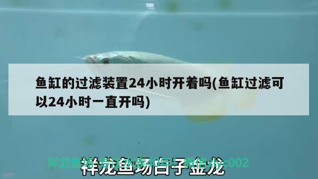 魚缸的過濾裝置24小時(shí)開著嗎(魚缸過濾可以24小時(shí)一直開嗎)