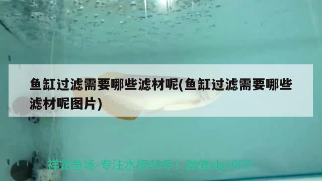 魚缸過濾需要哪些濾材呢(魚缸過濾需要哪些濾材呢圖片)