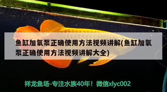 魚缸加氧泵正確使用方法視頻講解(魚缸加氧泵正確使用方法視頻講解大全) 魚缸凈水劑