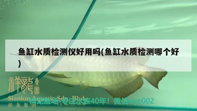 魚缸水質(zhì)檢測(cè)儀好用嗎(魚缸水質(zhì)檢測(cè)哪個(gè)好)