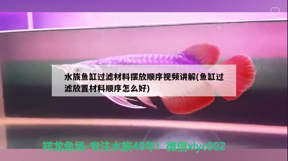 水族魚缸過濾材料擺放順序視頻講解(魚缸過濾放置材料順序怎么好) 刀魚魚