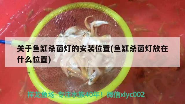 關(guān)于魚缸殺菌燈的安裝位置(魚缸殺菌燈放在什么位置)