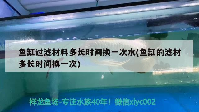 魚缸過濾材料多長時(shí)間換一次水(魚缸的濾材多長時(shí)間換一次) 蘇虎苗（蘇門答臘虎魚苗）