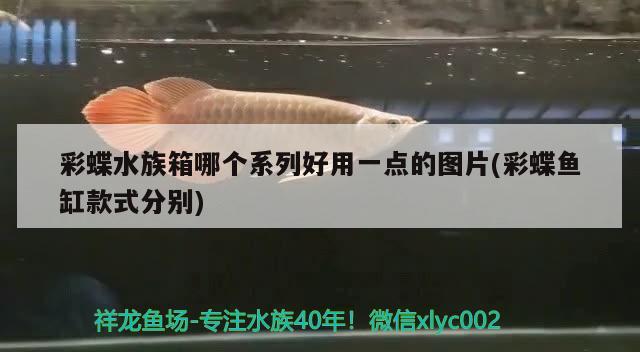 彩蝶水族箱哪個系列好用一點的圖片(彩蝶魚缸款式分別) 魚缸/水族箱