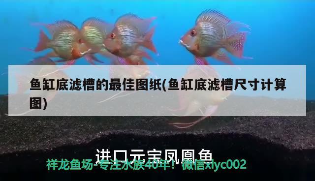 魚缸底濾槽的最佳圖紙(魚缸底濾槽尺寸計算圖) 觀賞魚企業(yè)目錄 第1張