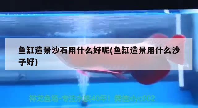 魚缸造景沙石用什么好呢(魚缸造景用什么沙子好) 水族雜談