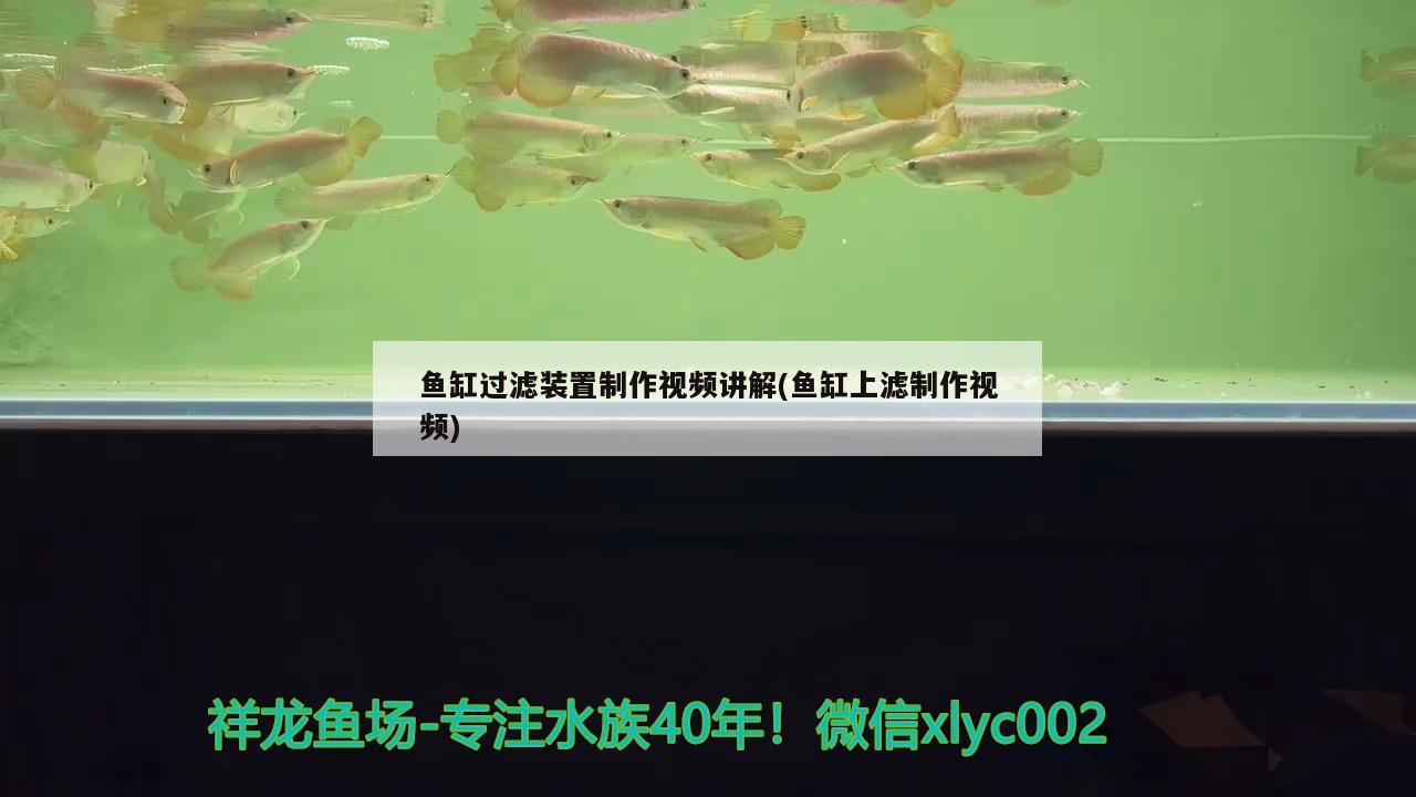 魚缸過濾裝置制作視頻講解(魚缸上濾制作視頻)