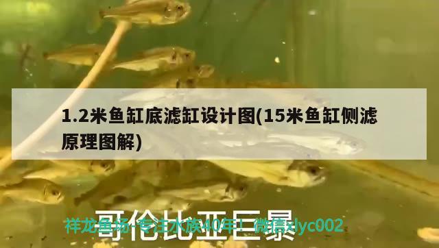 1.2米魚缸底濾缸設計圖(15米魚缸側(cè)濾原理圖解) 廣州龍魚批發(fā)市場